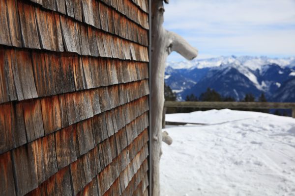 Cost of Cedar Siding Repair in Rockford