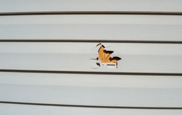 Cost of Siding Hole Patching in Rockford