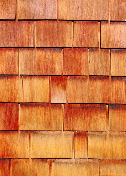 Cost of Wood Siding Replacement in Rockford