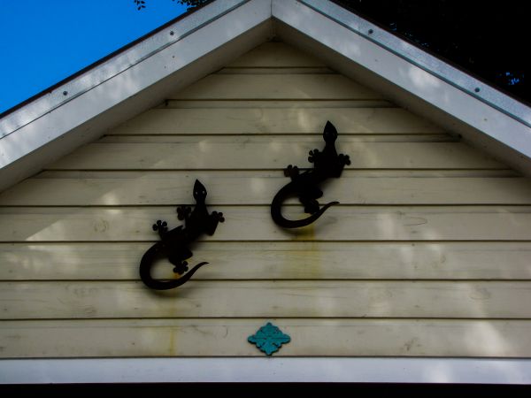 Cost of Shiplap Siding Installation in Rockford