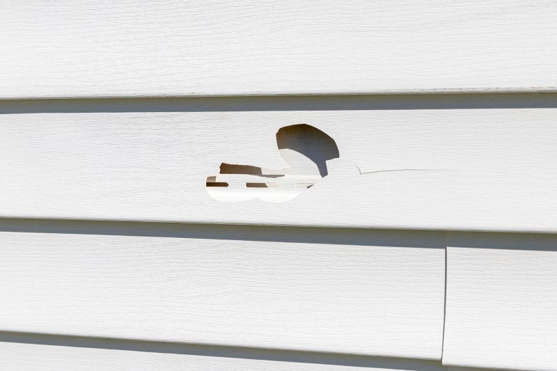 Repaired Vinyl Siding Close-up